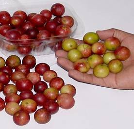 Camu- Camu