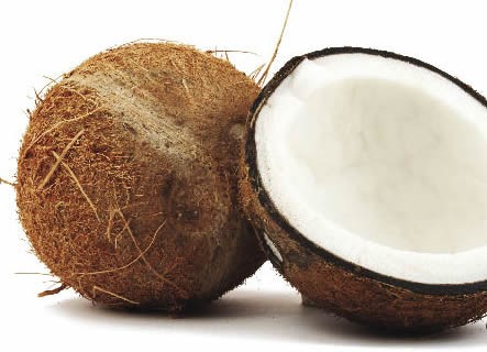 Coco