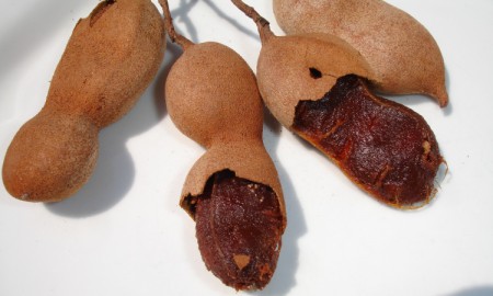 Tamarindo